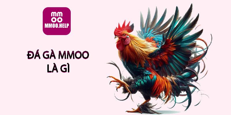 Đá gà MMOO là gì